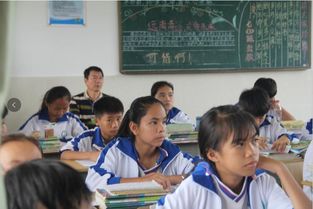 迈向规范，追求卓越 从白沙金波实验学校通达省级规范化评估看学校建设之道