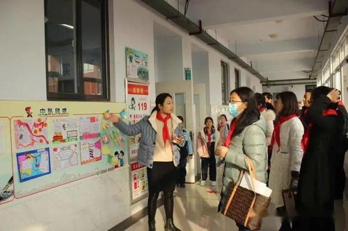 团市委市教体局来我区验收市少先队共青团工作规范化学校建设成果