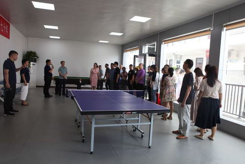 巩义市总工会2019年基层工会规范化建设观摩推进会 学校规范化建设成焦点