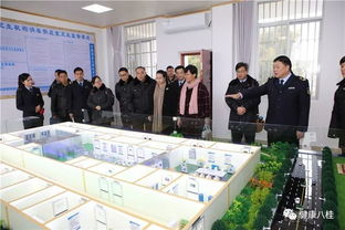 以规范促发展，以标准提效能——全区卫生监督机构规范化建设现场会在都安召开，共谋学校规范化建设新篇章